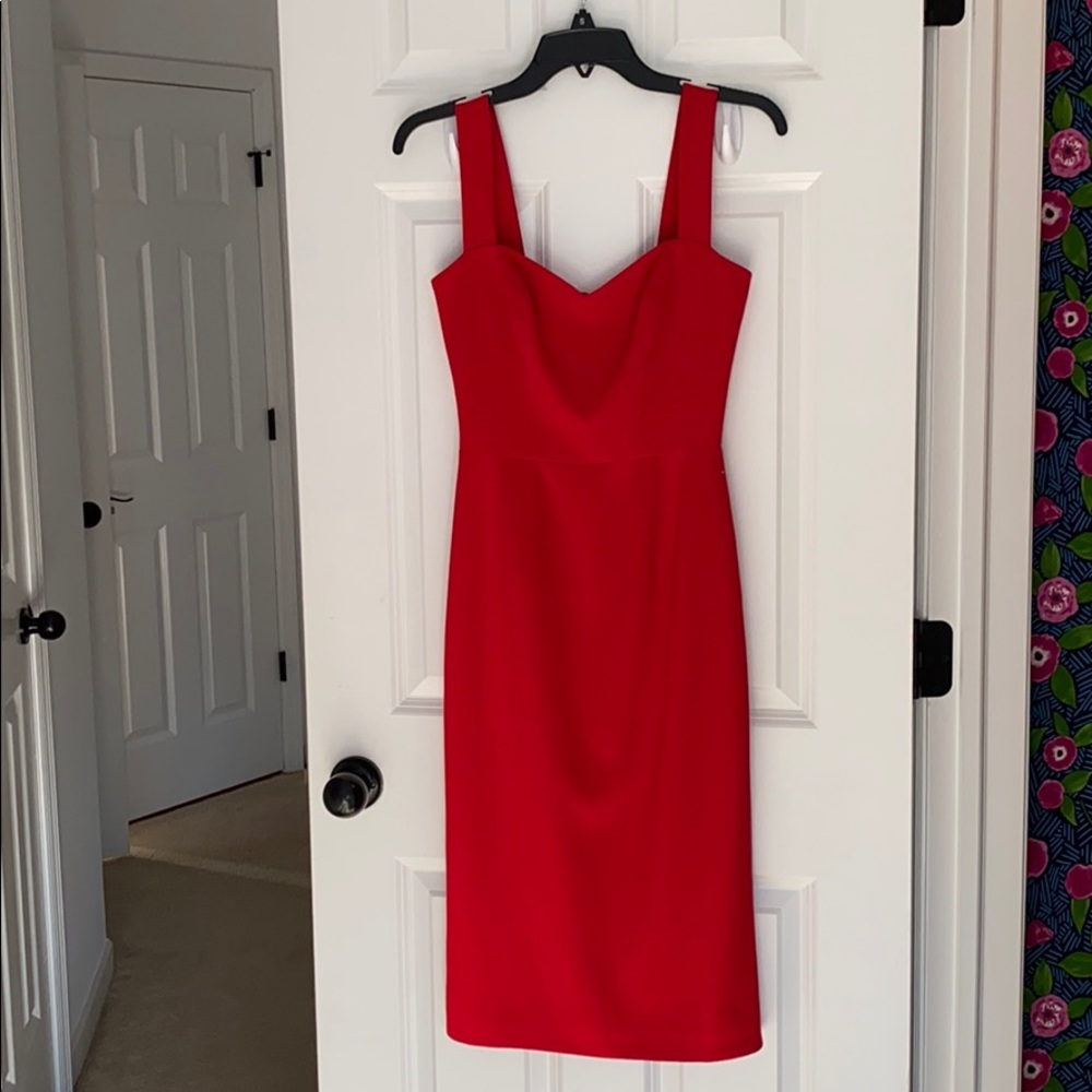 Dress the Population midi dress